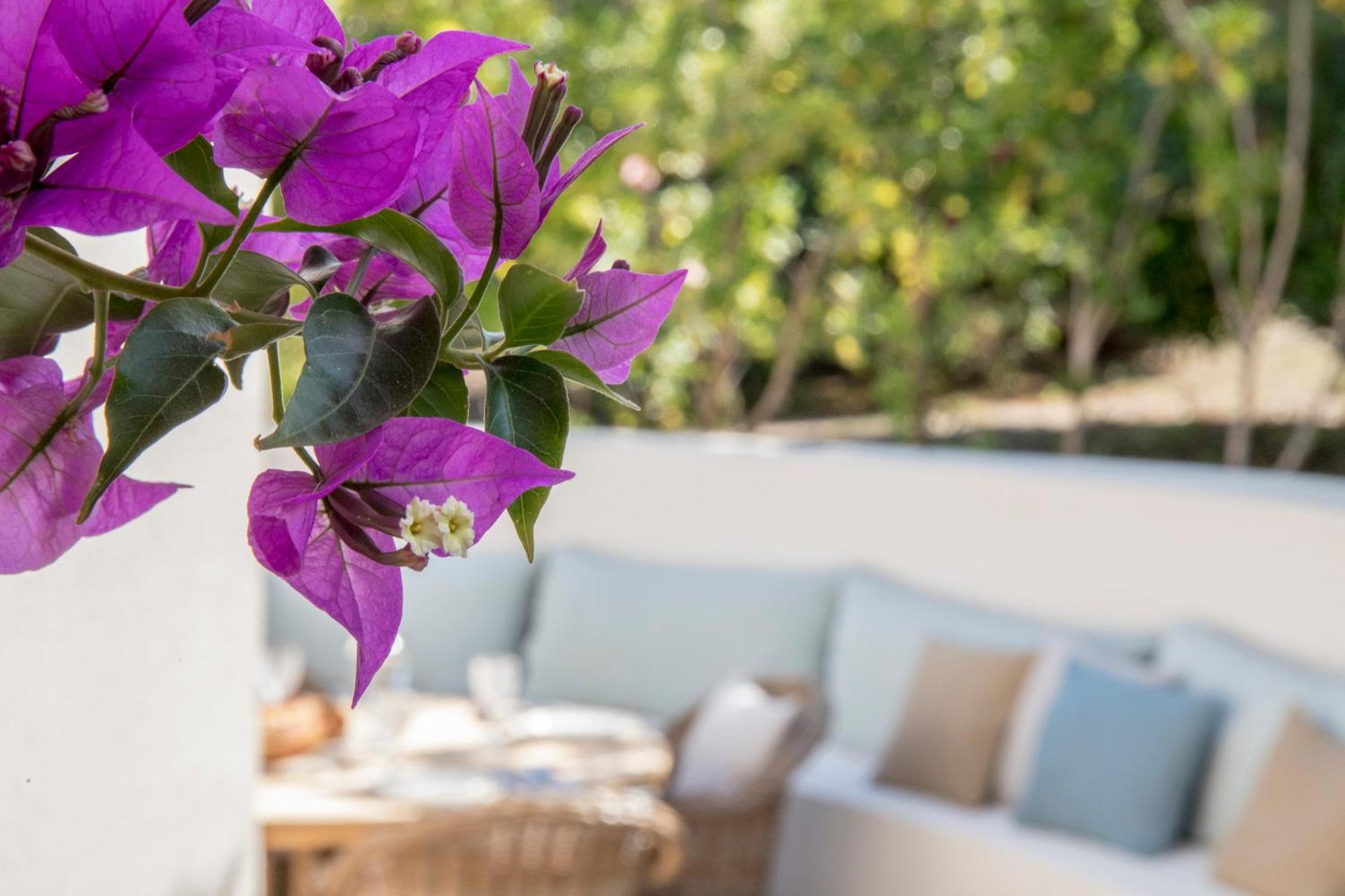 Boutique Hotel Chateau Rouher Propriano  Eksteriør bilde